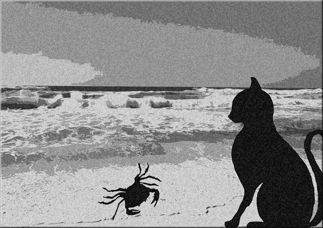 Il granchio e il gatto